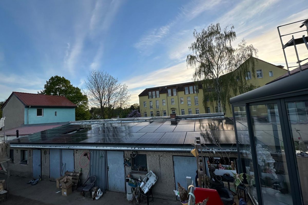 WhatsApp Image 2024-10-19 at 16.23.47 (2)