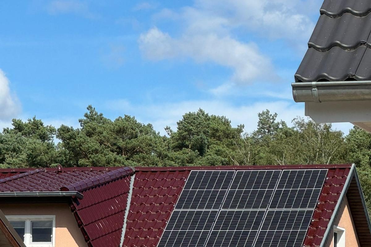 WhatsApp Image 2024-10-19 at 16.23.47 (4)