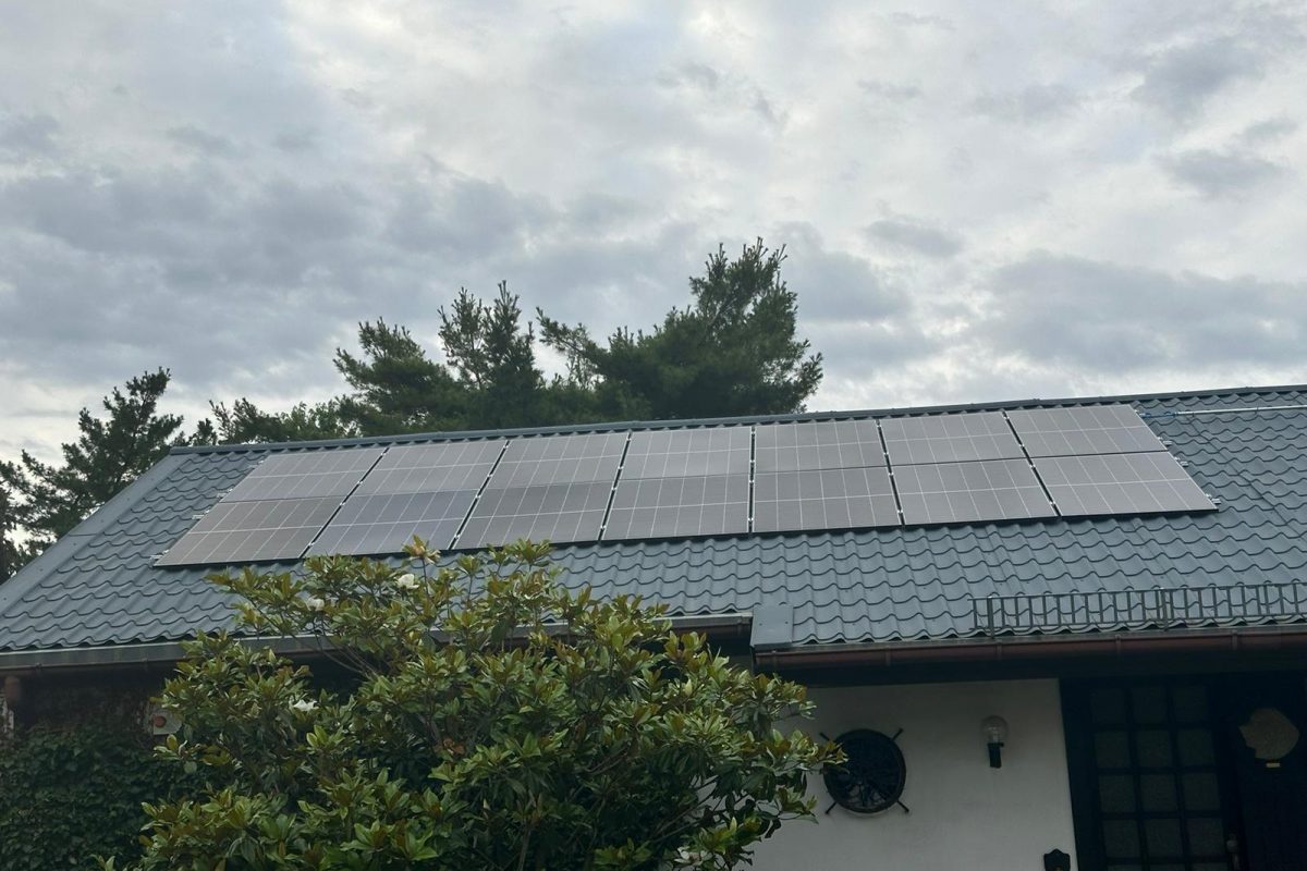 WhatsApp Image 2024-10-19 at 16.23.48