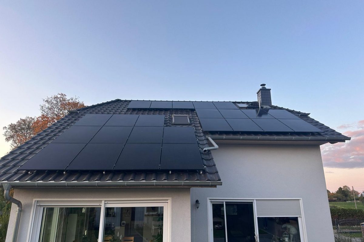 WhatsApp Image 2024-10-19 at 16.24.17